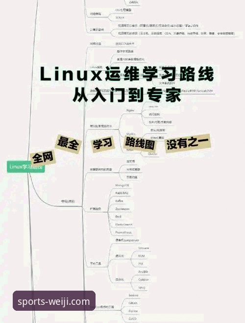 维基体育手机版登录方式实用指南：从入门到精通必备知识